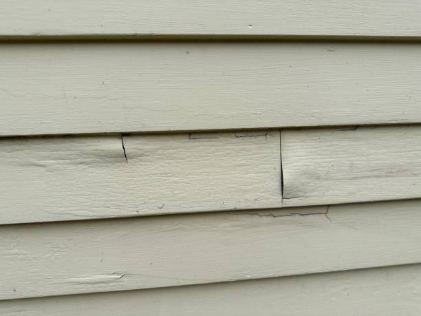 Affordable Siding Repair and Maintenance Services in Steelton, PA